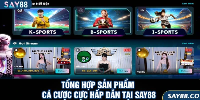 Tổng hợp sản phẩm cá cược cực hấp dẫn tại SAY88